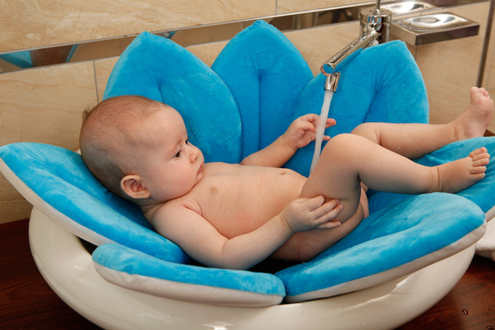 Bellis Banyo Çiçeği