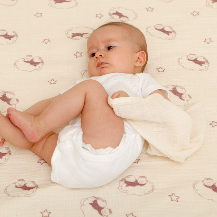 Minör Müslin Ağız Bezi