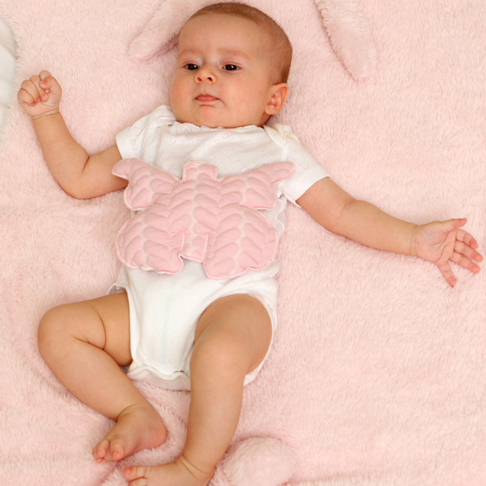 Papilio Çekirdekli Yastık Kelebek