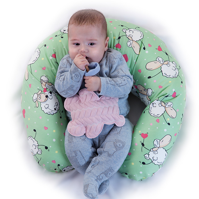 Ursa Çekirdekli Yastık Ayı